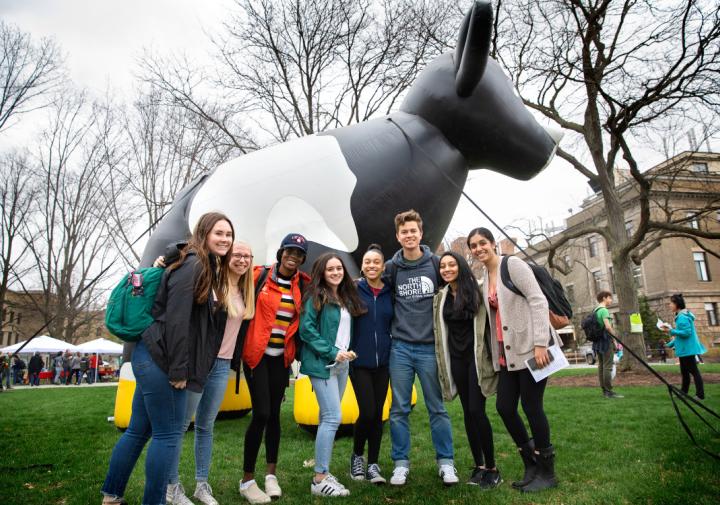 A line of students standing outside in front of a large inflatable cow