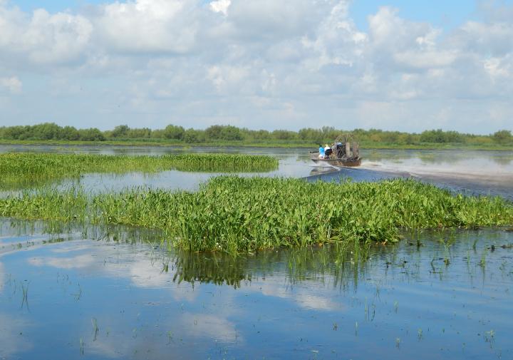 A fan boat on water 