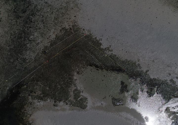 Looking down on an ocean