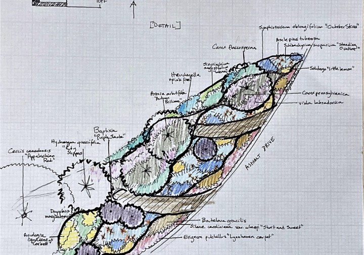 sketch of perennial location details