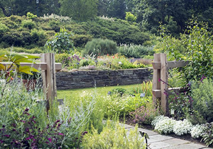 picture of Robison Herb Garden