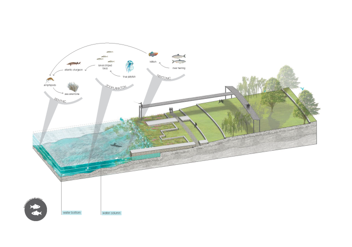 drawing of waterfront with grass and water sections