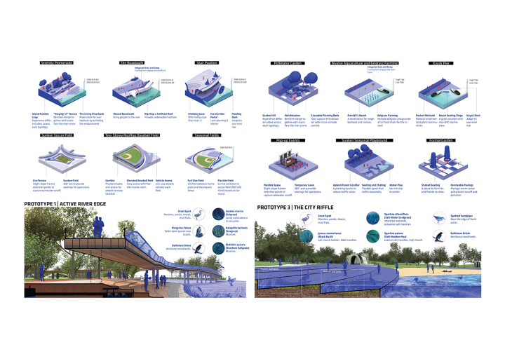 board with purple diagrams and photos of park