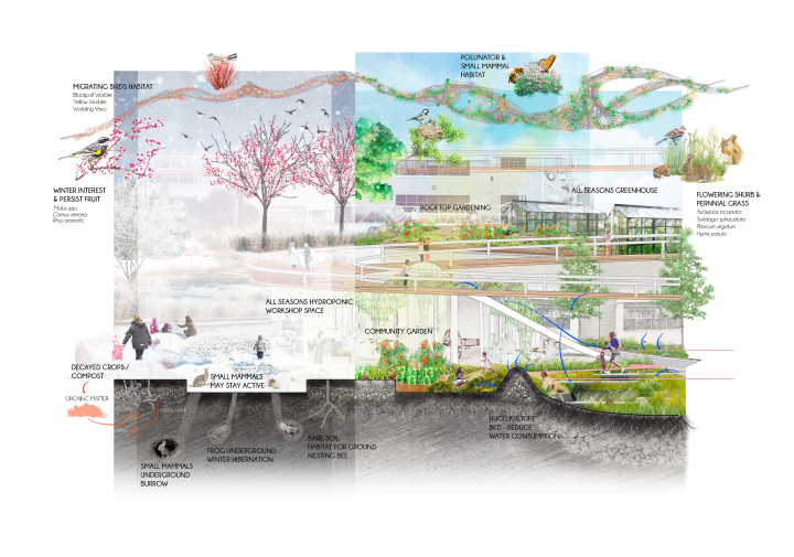 diagram of park with seasonal changes 