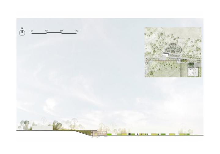 section drawing with back sky drop and vegetation