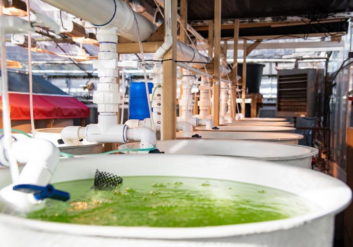 Recirculating aquaculture system 