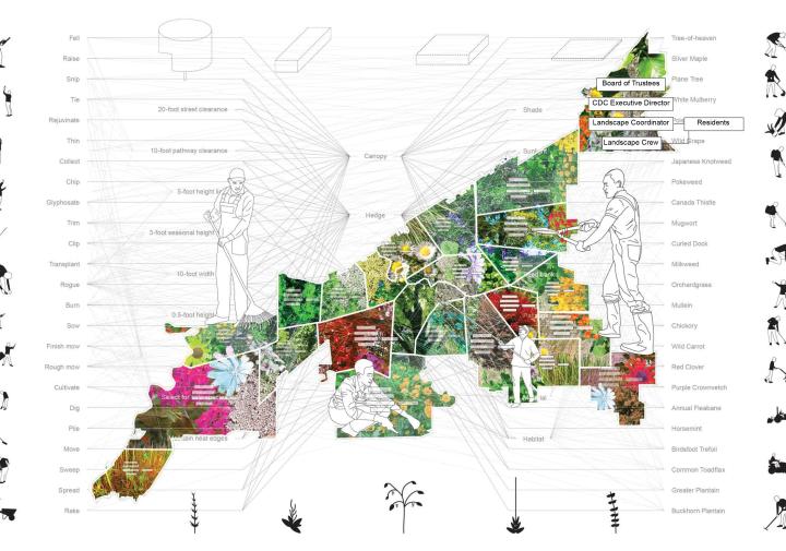 aerial map with collaged photos of different plants