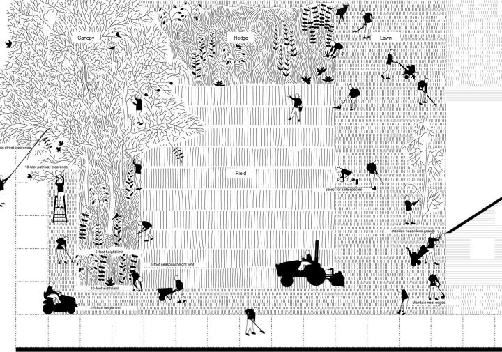 black and white drawing depicting a parcel with different crops and people silhouettes