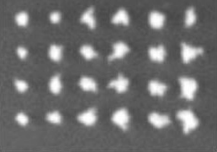 White dots on a gray background in a grid of four rows and six columns