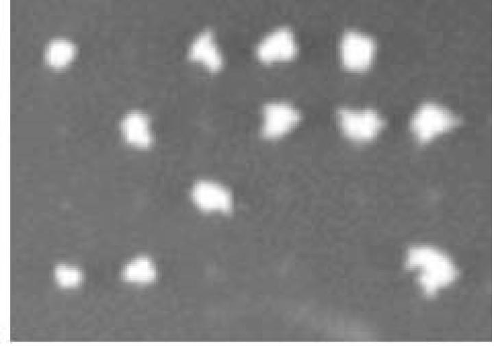 A grid of four rows by six columns of white dots on a gray background with many spots empty