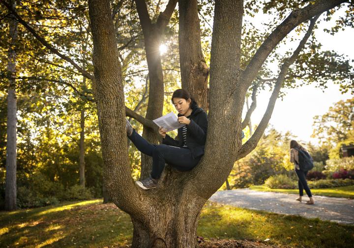 student reading book in a tree