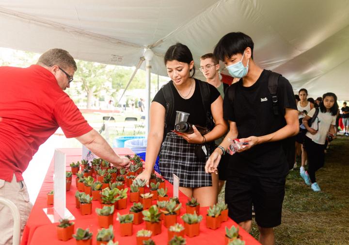 Students select free succulent giveaways from a table at CALS Fest.
