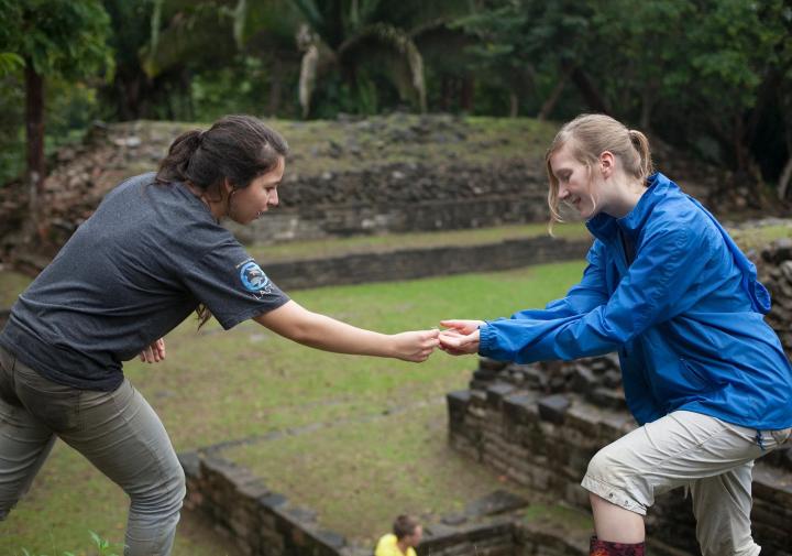 Two women hand off small plant