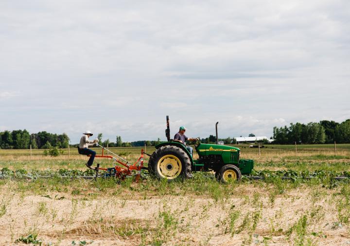 Tractor pulling a cultivator