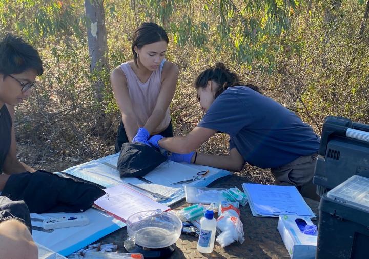 Women work at a table