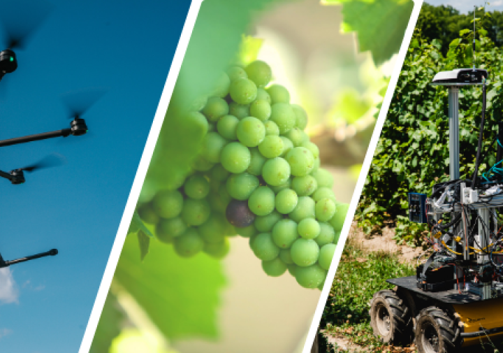 AgriTech digital agriculture collage