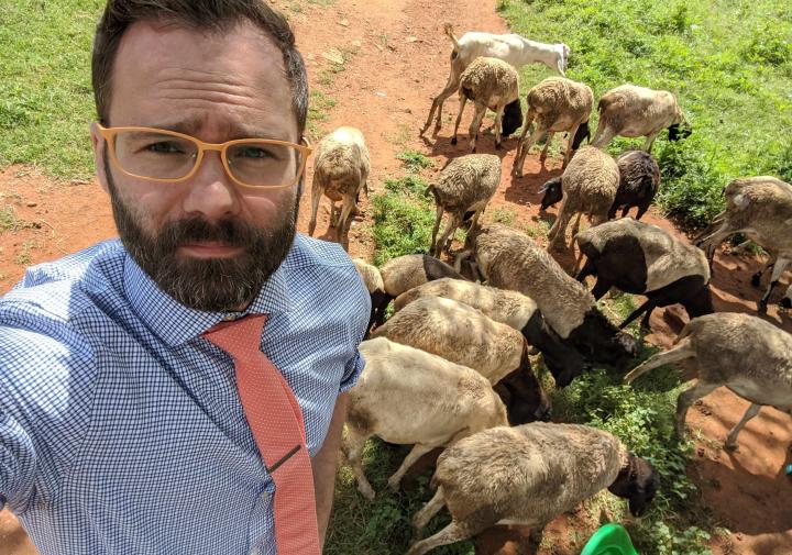 selfie of andrew bell with sheep