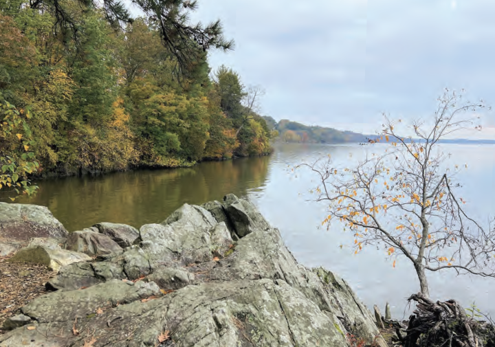 Photograph of a tree lined and rock lined river shoreline during fall.