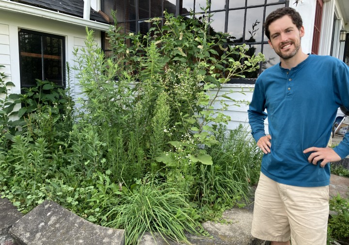 A person standing to the left of a large patch of weeds in front of a house.