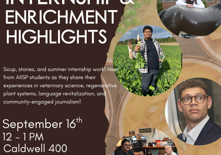 A poster featuring photos of students at their summer internships.