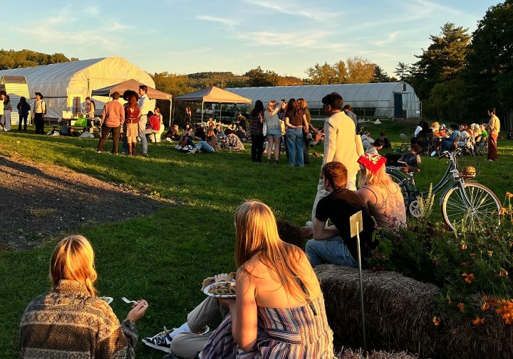Groups of people at a farm