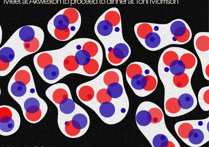 Faculty fellow poster.