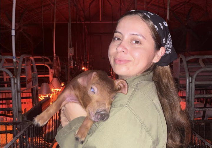 A woman holds a small pig.