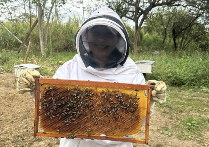 A woman holds a frame of honeycomb.