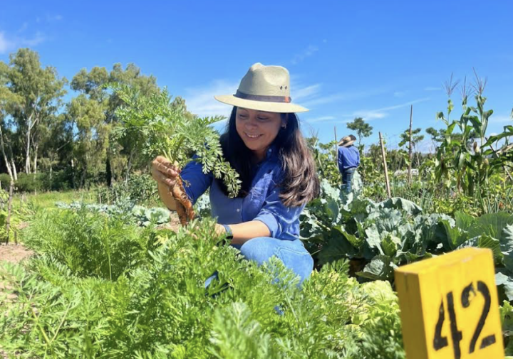 A woman tends to crops.