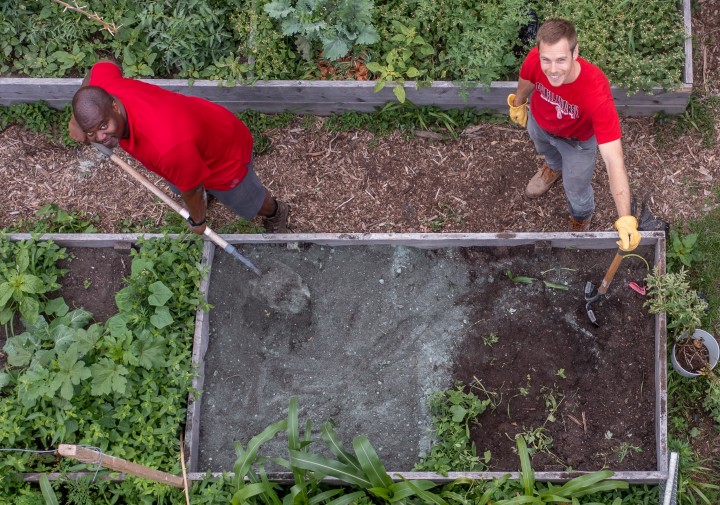 overhead photo of Kwesi Jospeh raking soil in a raised bed