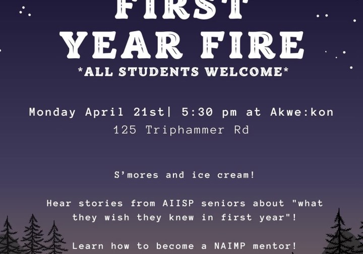 A poster with a campfire and starry sky.