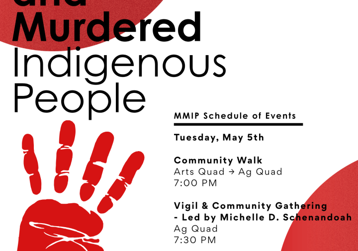 A poster for MMIP day with red circles and a red hand.