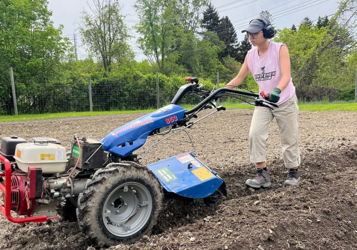 Field work
