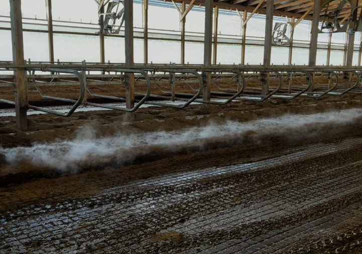 Solids bedding on a dairy farms