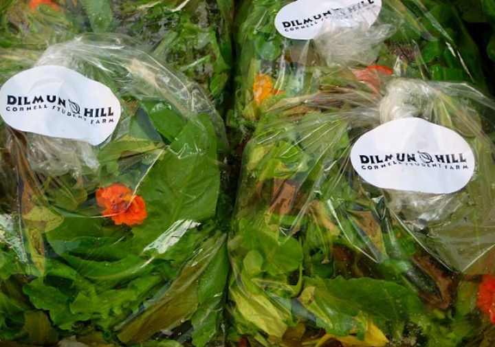 Lettuce bagged and labeled