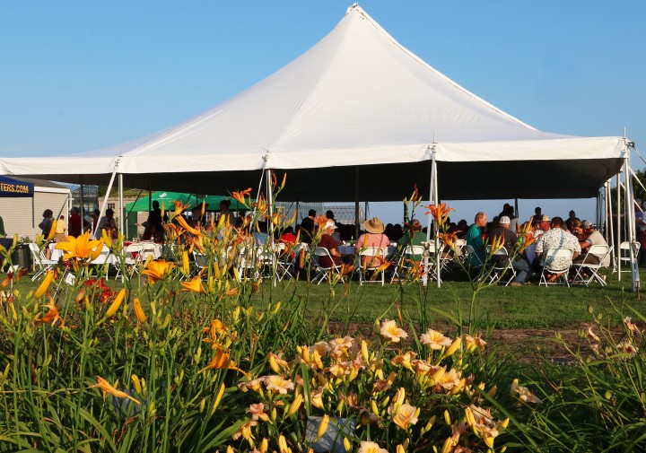 Event attendees under tent