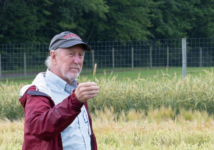 Mark Sorrells with small grains