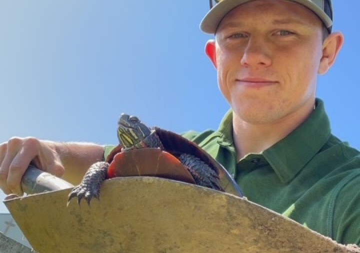 A man holds a shovel that has a turtle in it.