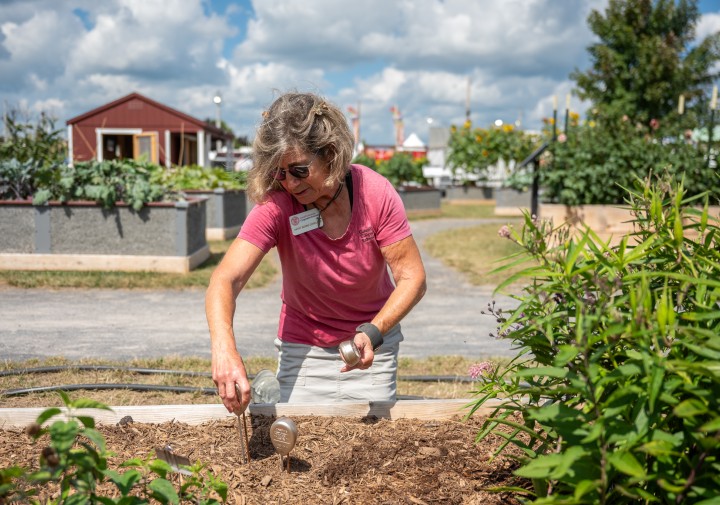 Kathy Burns in the garden evaluating soil conditions.