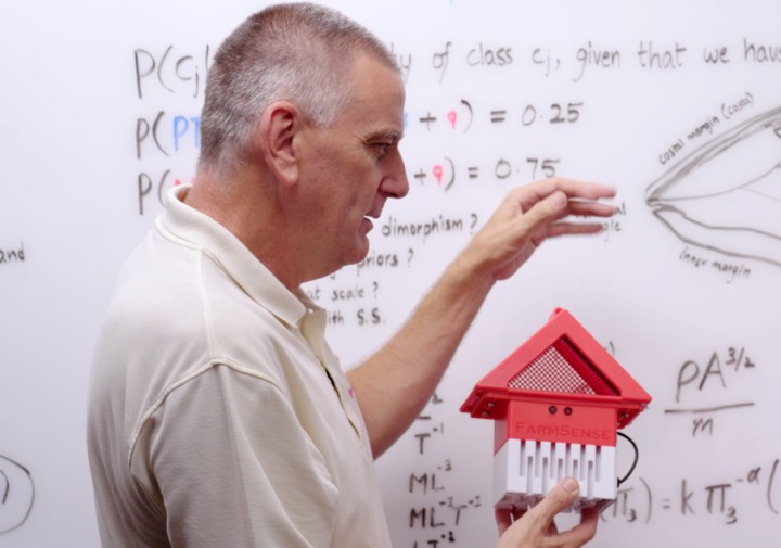 A man with gray hair stands in front of a whiteboard, gesturing as he speaks. In his hand, he holds a small, house-shaped device labeled "FARMSENSE," featuring a red mesh roof and a white slatted base. The whiteboard behind him is covered in handwritten notes, including probability equations, dimensional analysis formulas, and a labeled diagram of an insect wing.