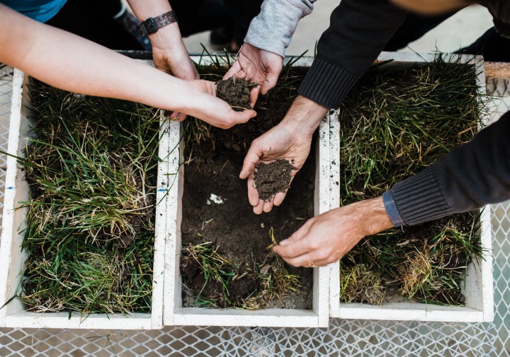Soil Health