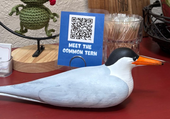 a statue of a tern sits on a table with other knickknacks and a card with a QR code