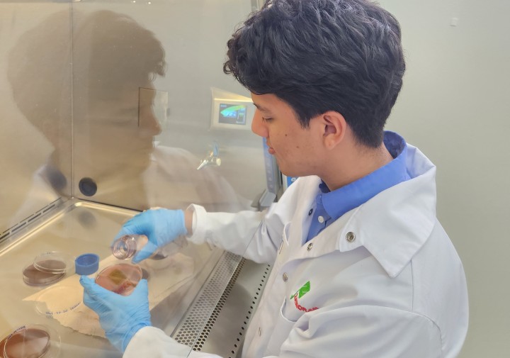 A man stands near a fume hood and pours a liquid onto a plate of soil.