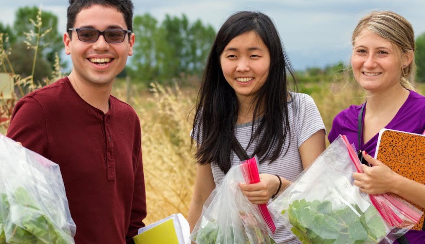 Students collecting wine samples