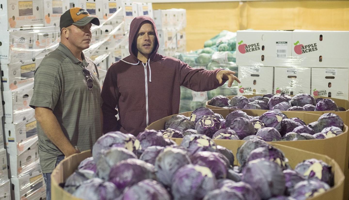 Farmer and volunteer look over cabbages