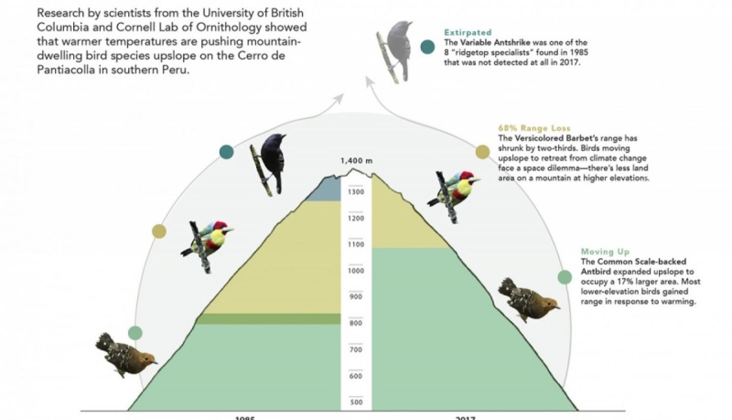 Chart detailing the "escalator to extinction"