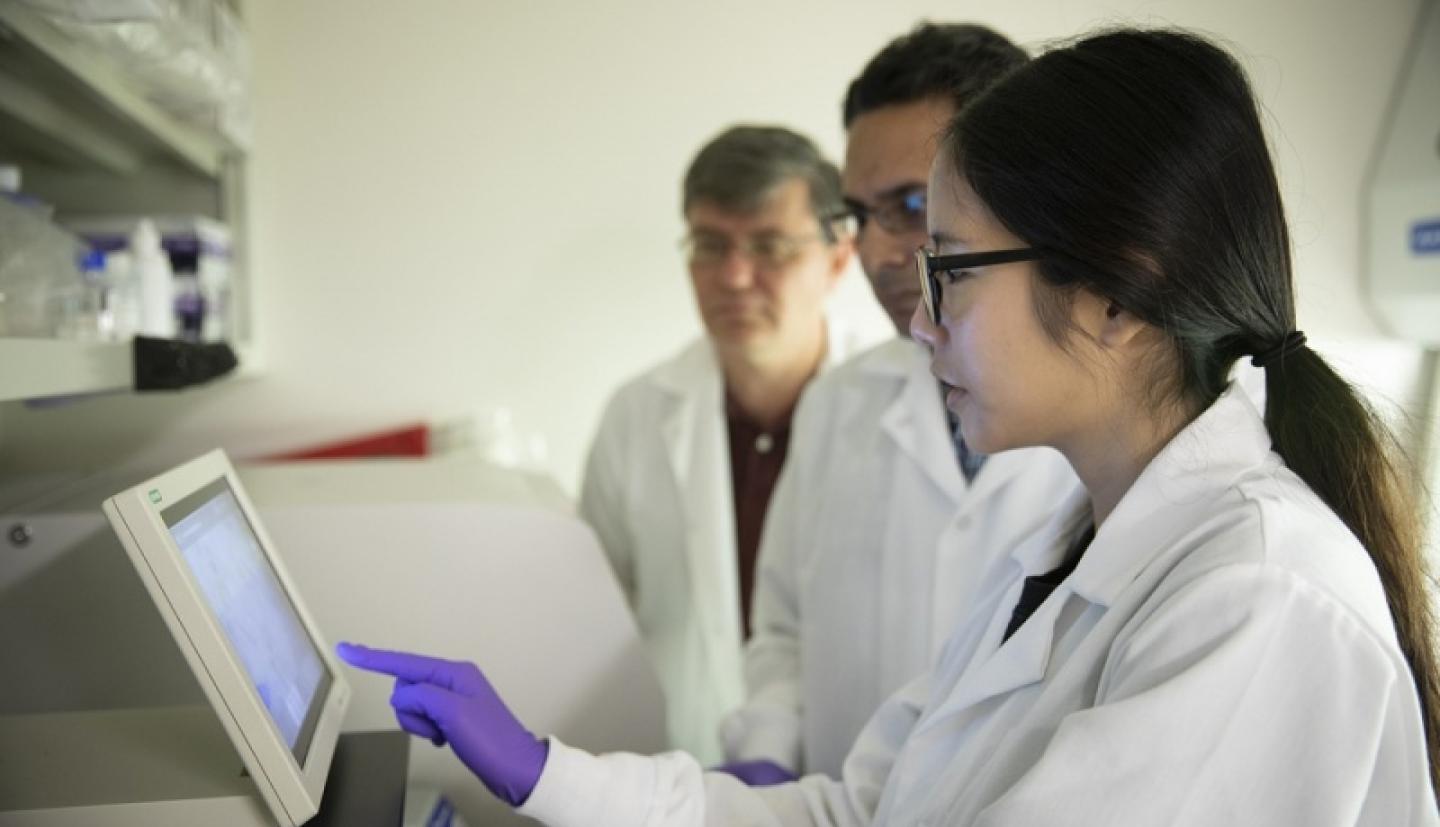 Researchers working in a lab
