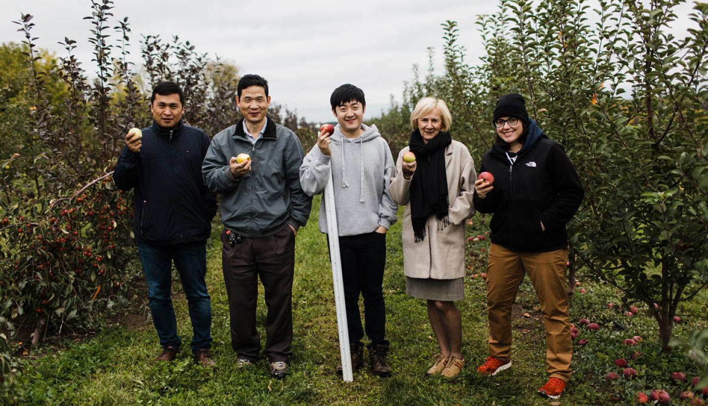 Professor Kenong Xu and members of his lab at a research orchard at Cornell AgriTech