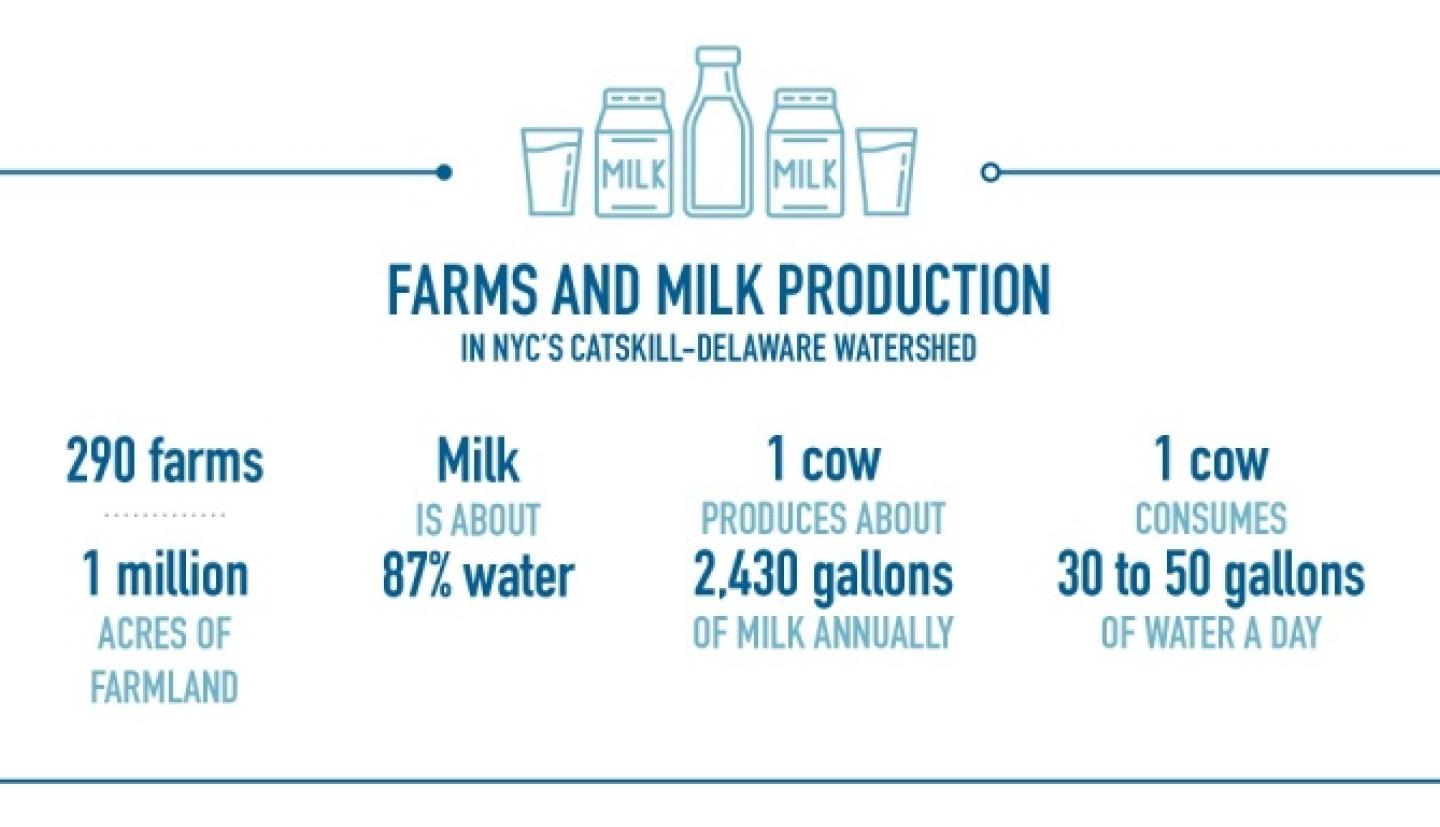 Farms and Milk Production Infographic