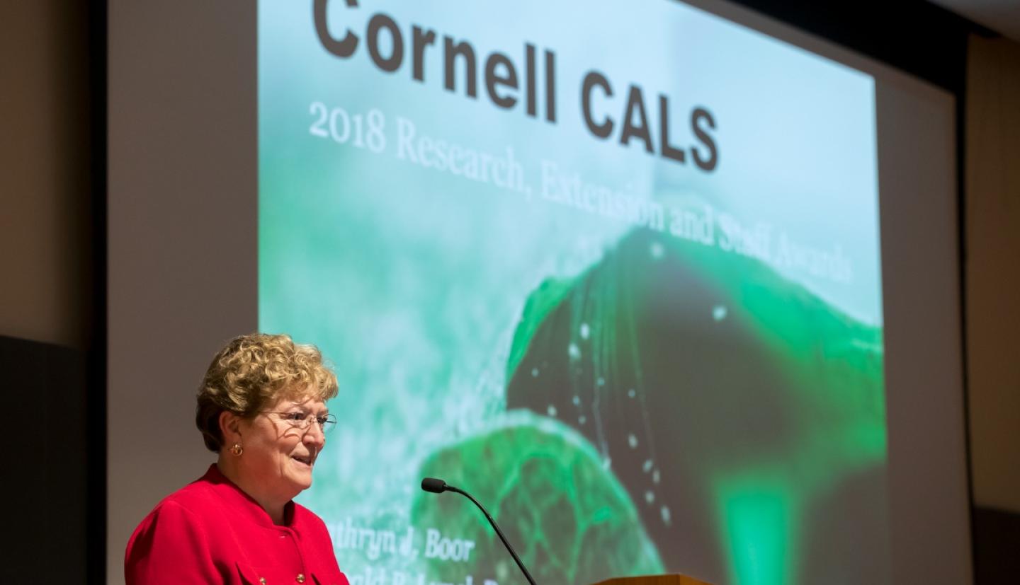 Dean Boor presenting on stage